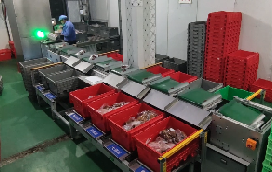 安博足球助力兰州首个“中央厨房”分拣中心落成，赋能食品分拣新模式